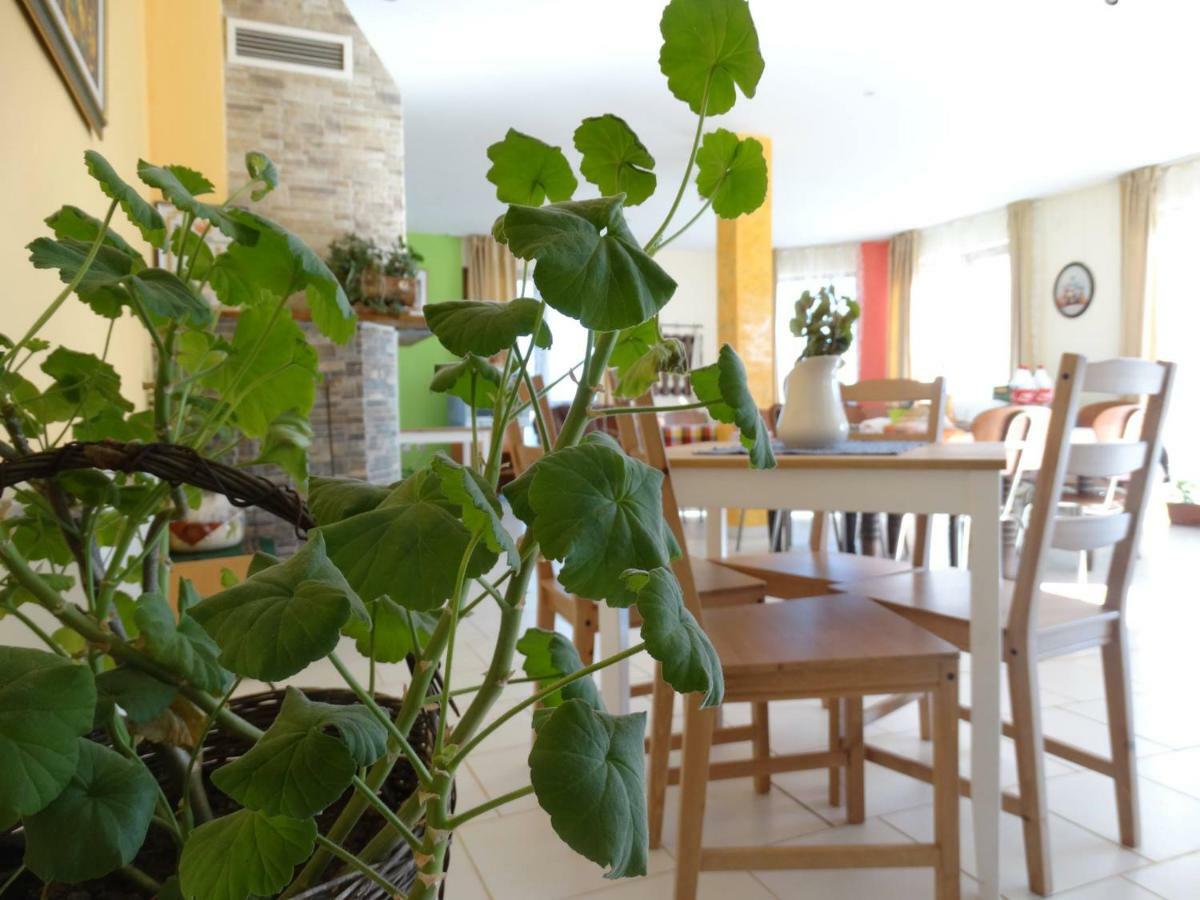 Guest House Misha Petrevene Luaran gambar